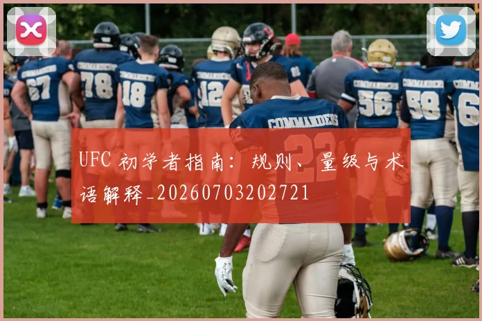 UFC 初学者指南：规则、量级与术语解释_20260703202721