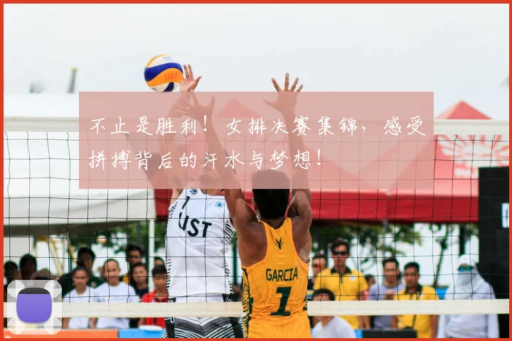 不止是胜利！女排决赛集锦，感受拼搏背后的汗水与梦想！